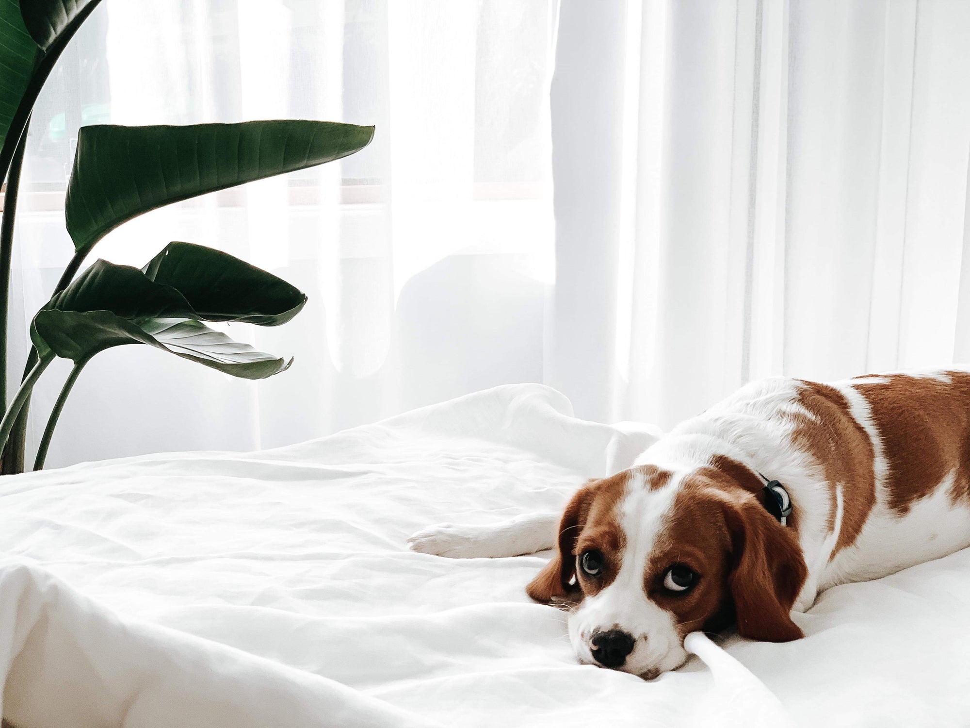 3 Shows to snuggle in and escape the cold this long weekend